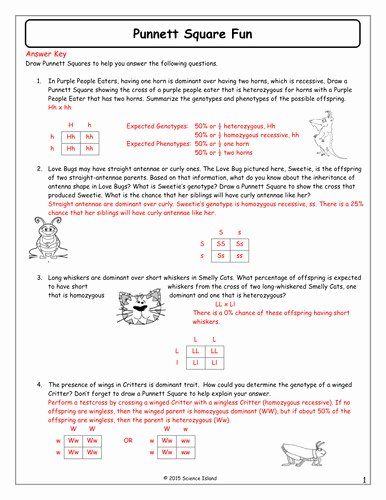 Mendelian Genetics Worksheet Answer Key Inspirational Genetics ...