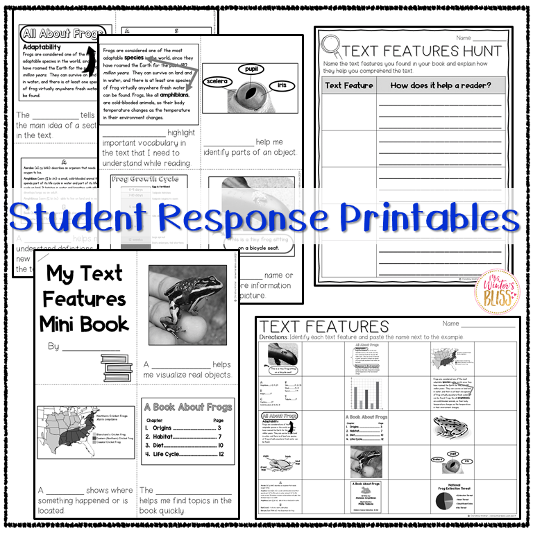 Nonfiction Text Features - anchor chart posters &  worksheets - Mrs.  Winters Bliss - Resources For Kindergarten, 1st &  2nd Grade