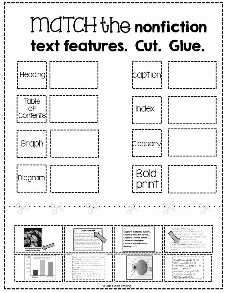 nonfiction text features worksheet 4th grade