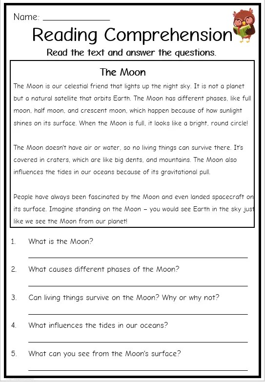 Grade 3 Reading Comprehension Non-Fiction | Free English Worksheets