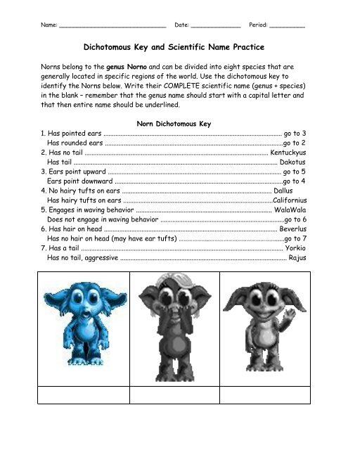 Norn Worksheet