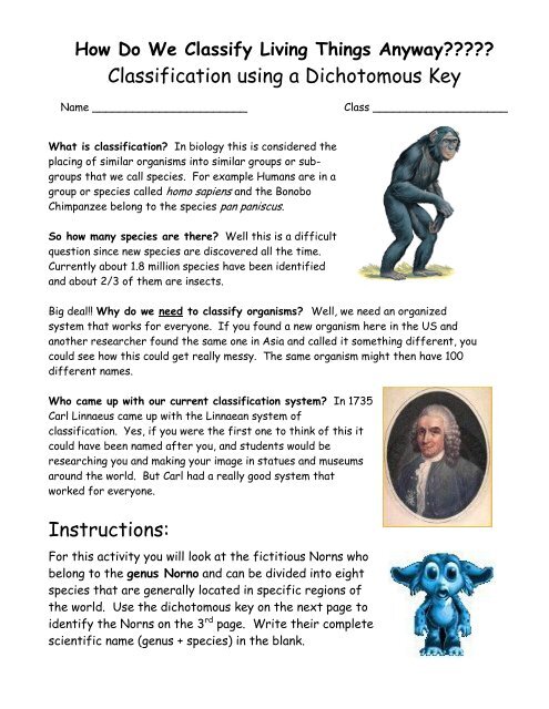 Original Document: Dichotomous Key on Norns