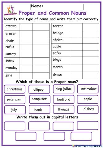 Proper and common nouns online activity for Grade 2  
