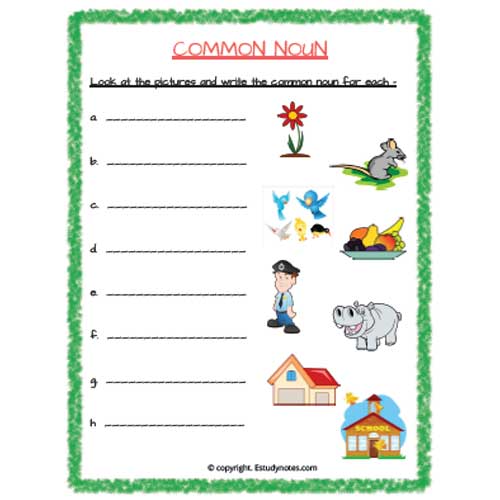 noun worksheet grade 2
