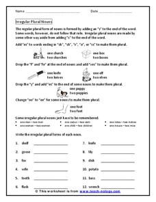 Irregular Plural Nouns Worksheet for 1st - 3rd Grade | Lesson Planet
