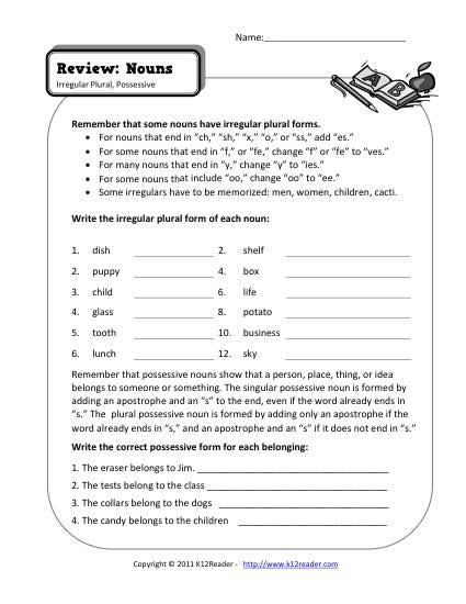 Nouns Review 2 | 3rd Grade Noun Worksheet