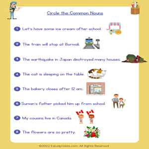 Common Noun Circle the Common Nouns Worksheet 2.pdf
