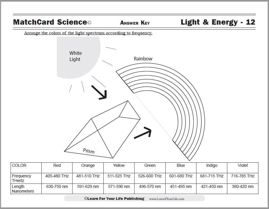 Fusion And Fission