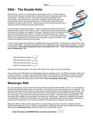 nucleic acid worksheet