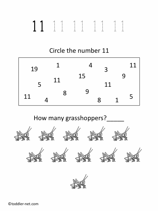 number 11 preschool worksheet