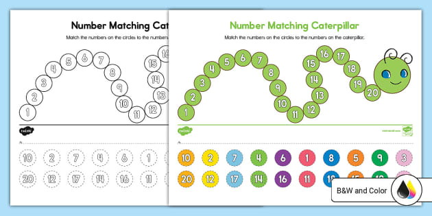Numbers 1-20 Matching Caterpillar Cut and Paste Activity