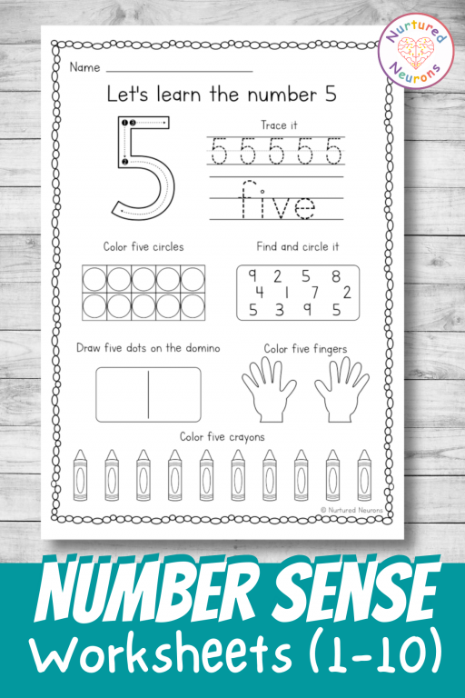 Number Sense Worksheets 1-10 (Printable Kindergarten PDF ...