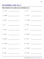 Number Sense and Operations Worksheets