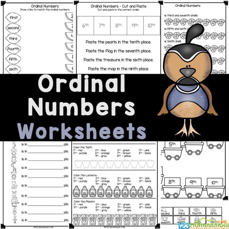 number worksheet for first