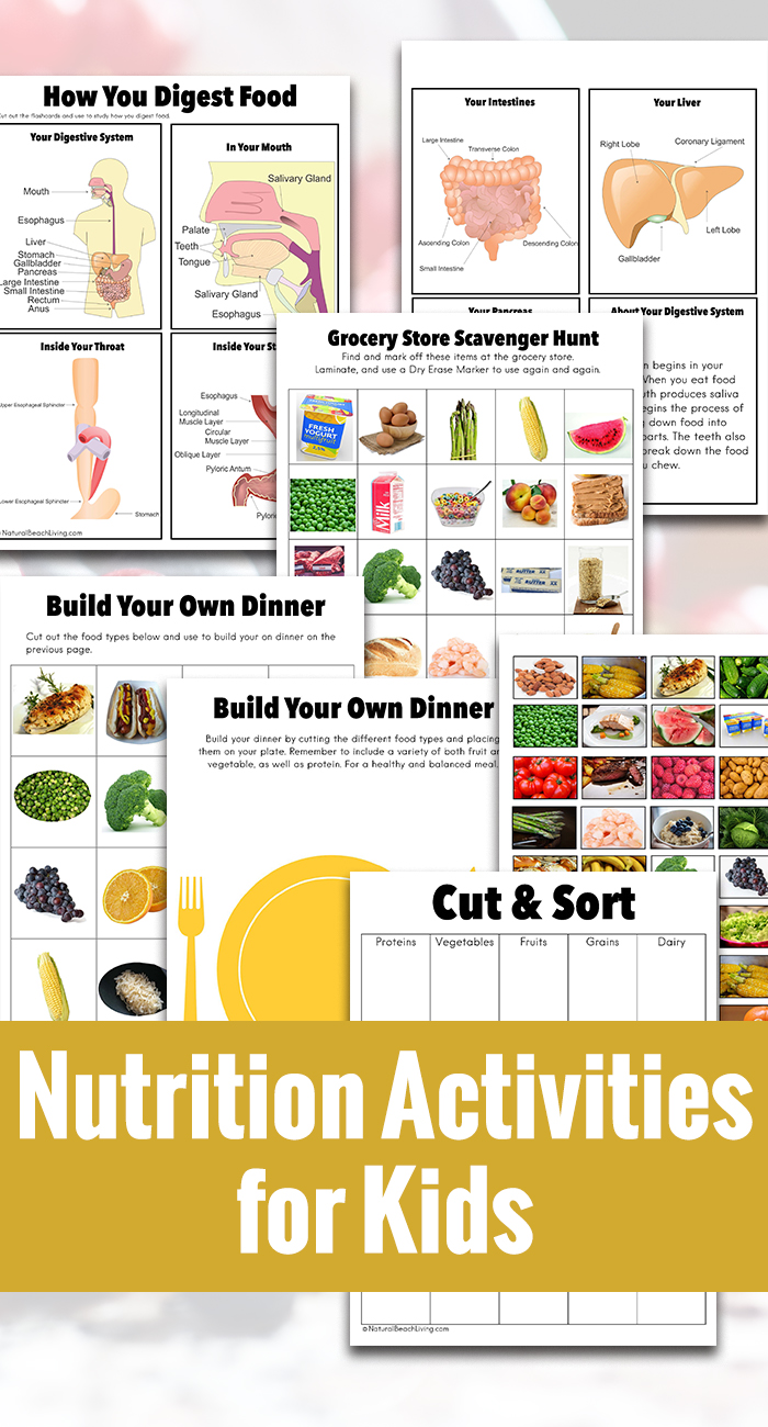 Free Nutrition Lesson Plans Download Free Nutrition Lesson Plans Png free-nutrition-lesson-plans-download-free-nutrition-lesson-plans-png
