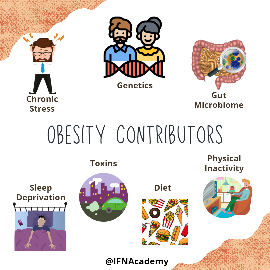 A Personalized Functional Nutrition Approach to Weight Loss - IFN ...