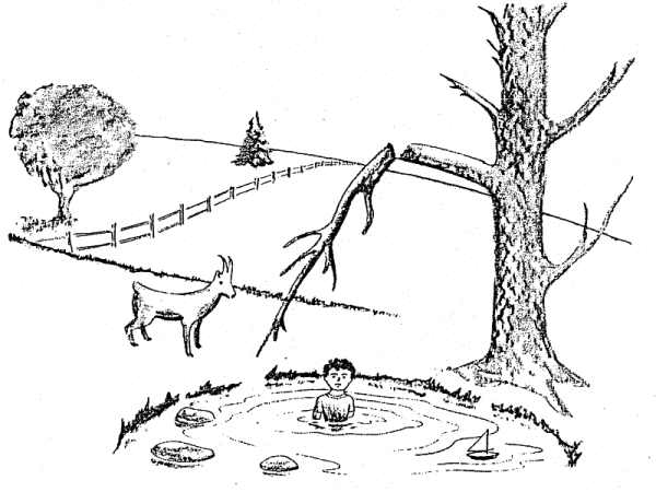 The Goat by the Water : Observation vs Inference (Originally ...