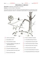 OBSERVATION INFERENCE .pdf - Ian Harris Name: 9/4/19 Date: Hour ...