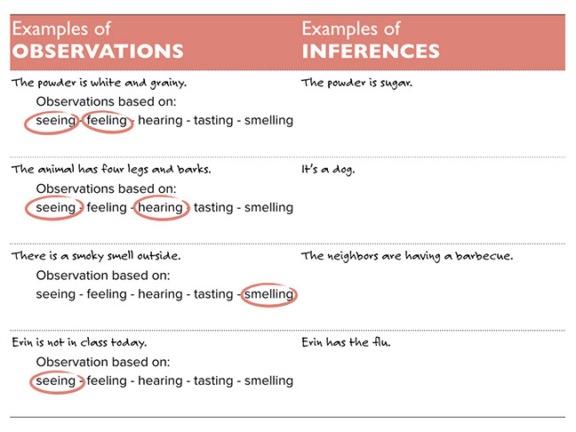 Lesson: Going from Observations to Inferences