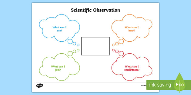 Plant Observation Worksheet  
