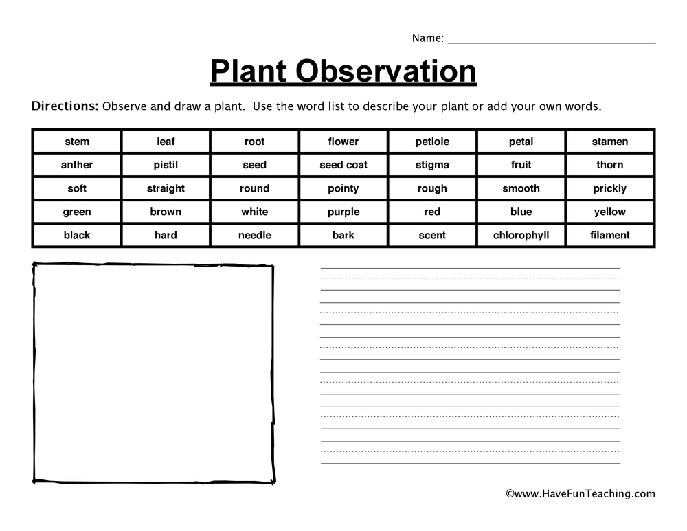 Growing The Next Generation | Programs for teachers | Sensory ...
