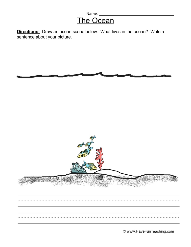 Drawing Ocean Animals Worksheet  