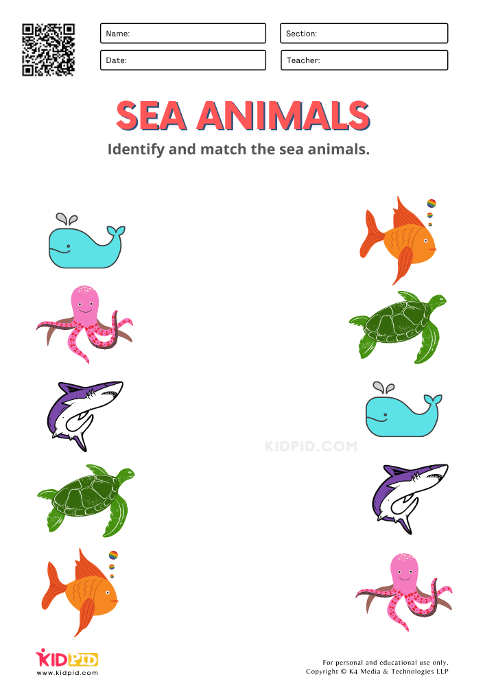 Sea Animals Worksheets for Kindergarten - Kidpid