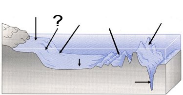 Quia - Ocean Floor Features (SOL 5.6)