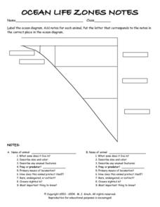ocean life zones worksheet
