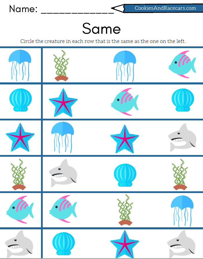 ocean worksheet for preschoolers