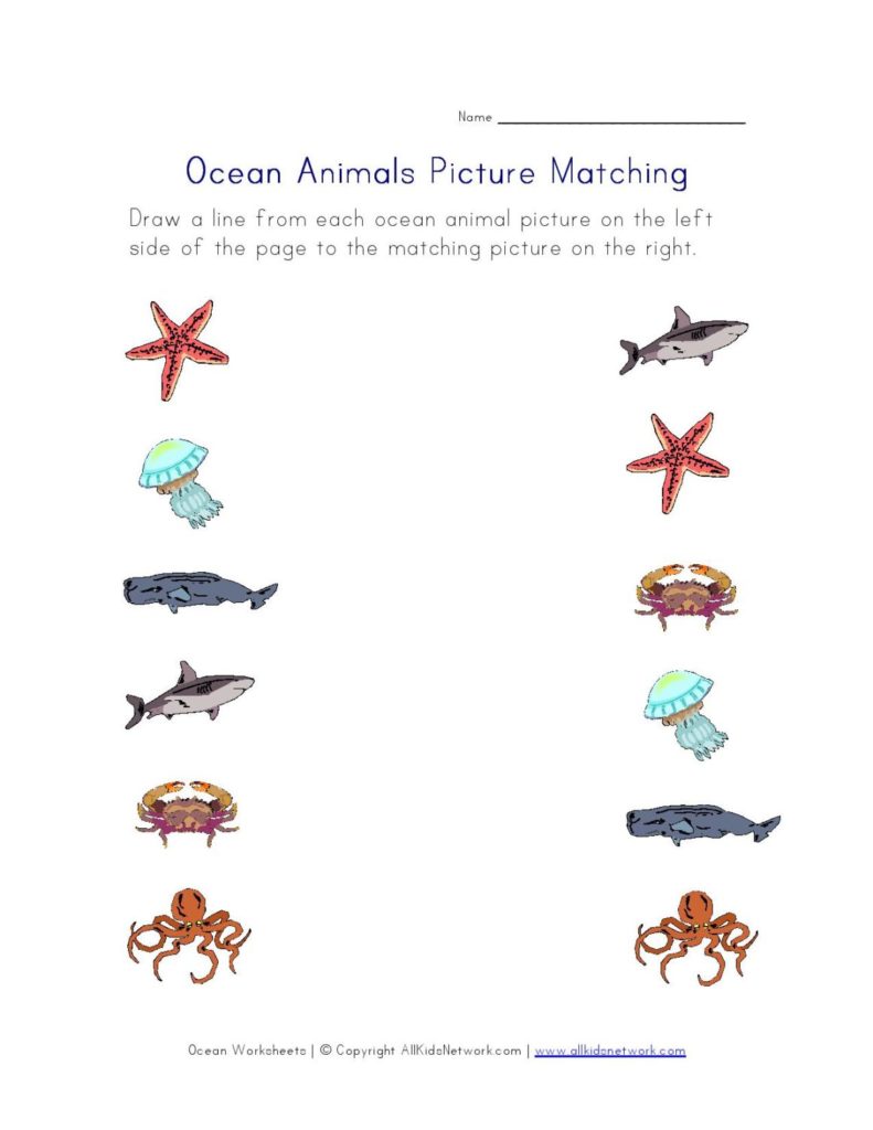 ocean worksheet for preschoolers