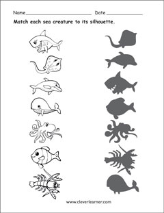 Animals that live in water worksheets for preschools