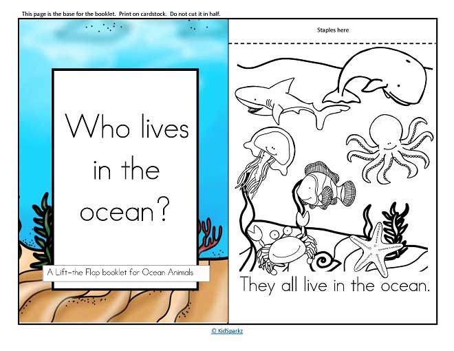 Ocean Animals Informative Reader plus Puppets, Vocabulary