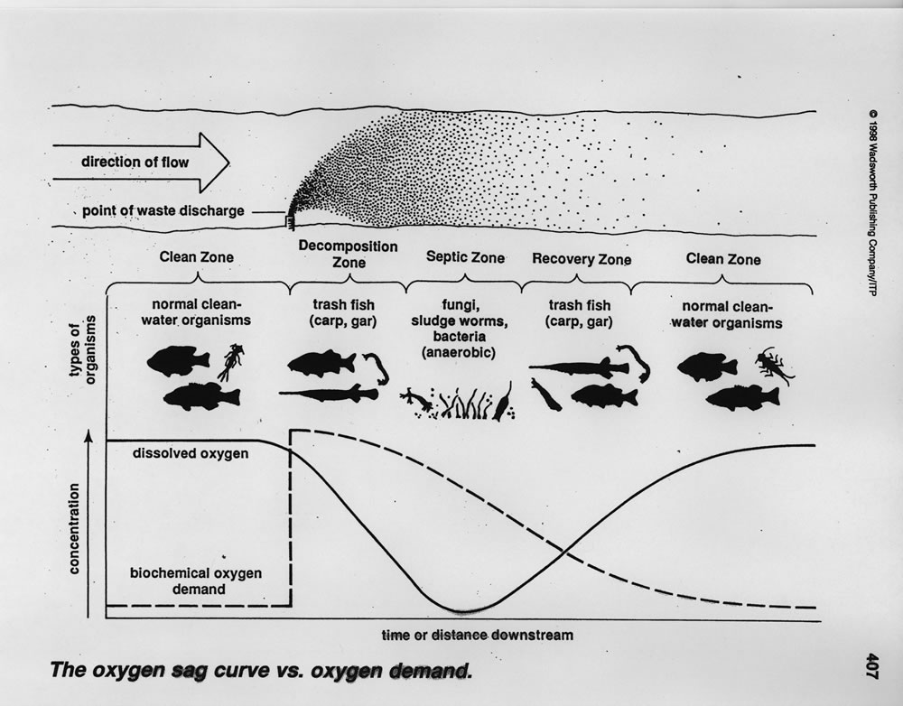 Oceanography with Lab Easy Peasy AllinOne High School Worksheets