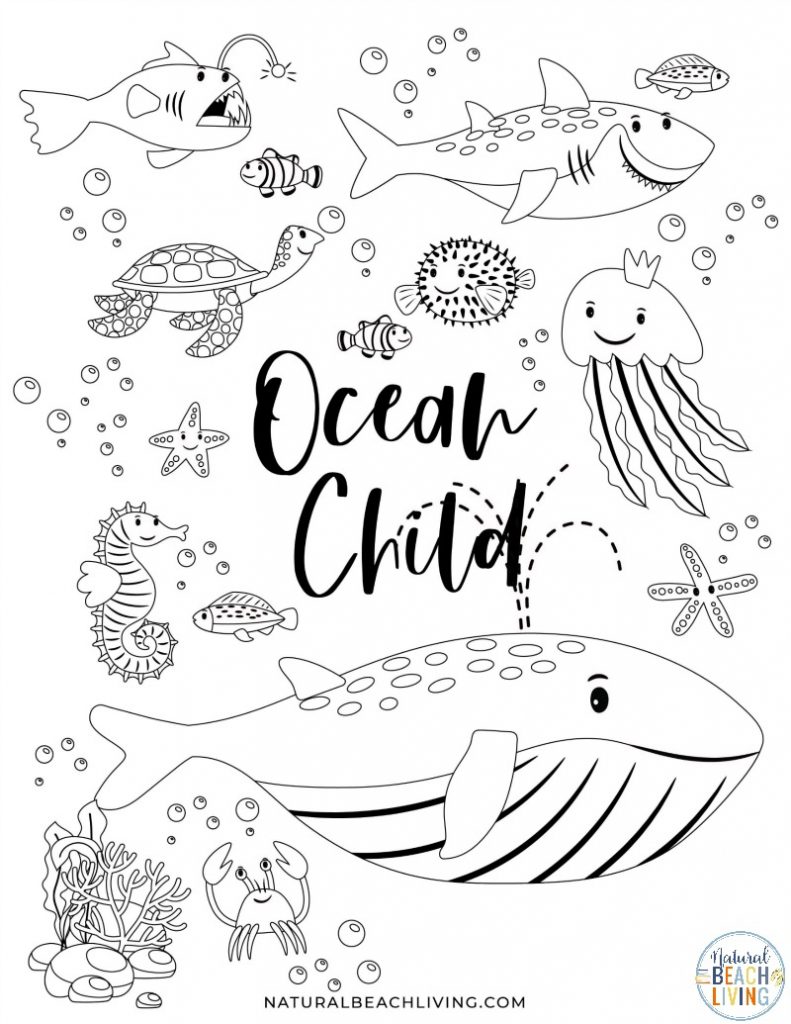 oceans worksheet for kindergarten