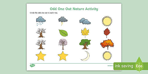 odd one out worksheet for