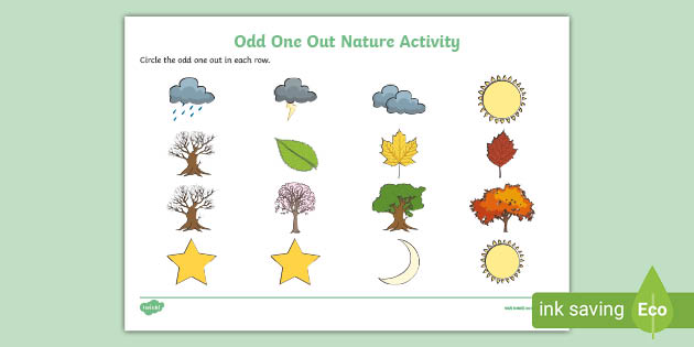 ? Odd One Out Nature Worksheet (Lehrer gemacht) - Twinkl