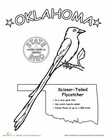 U.S. State Birds