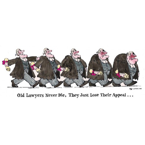 old lawyers never die they just worksheet