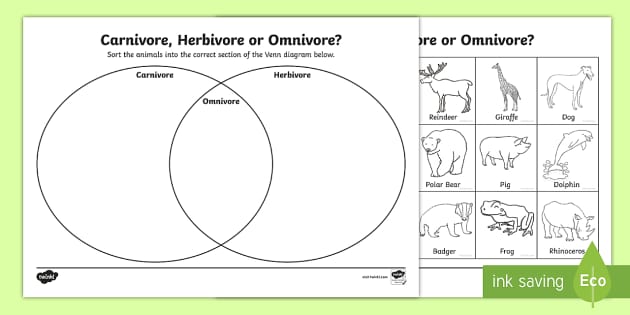 Carnivores, Herbivores and Omnivores KS1 Worksheet 