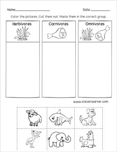 omnivore carnivore herbivore worksheet