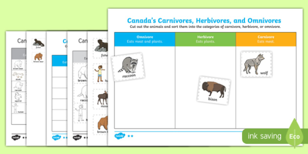 omnivore carnivore herbivore worksheet