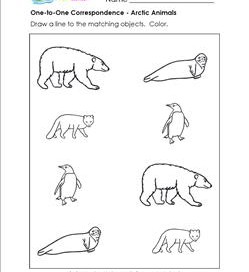 one to one correspondence worksheet