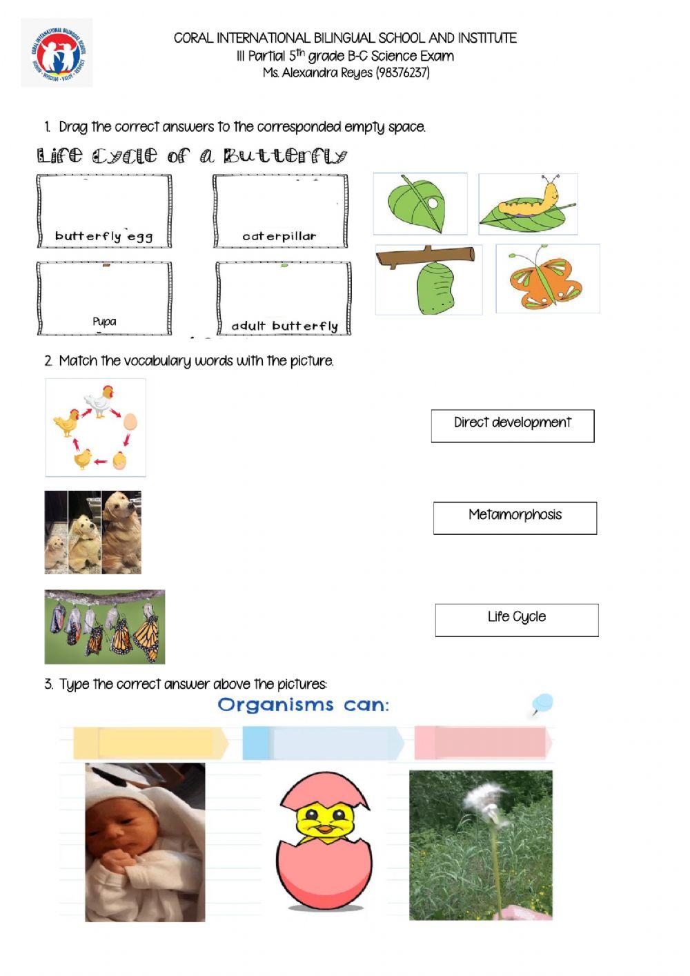 Science online Exam worksheet | Live Worksheets - Worksheets Library