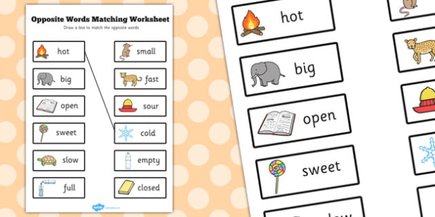 opposite words worksheet for