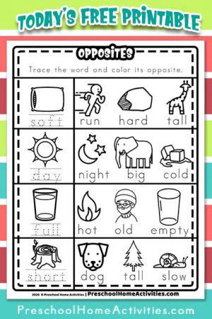 opposite worksheet for preschool