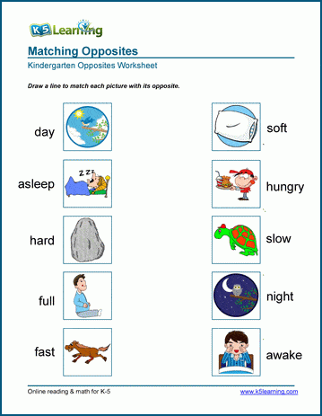 Matching opposites worksheet for preschool and kindergarten | Worsheets library...
