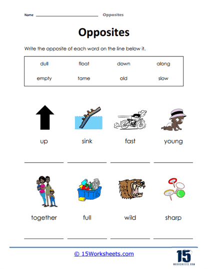 Opposites Worksheets - 15 Worksheets Library