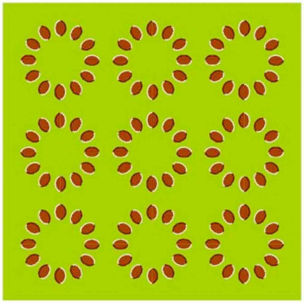 8. Test your Brain with these 10 Optical Illusions - SharpBrains