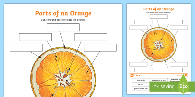 orange worksheet